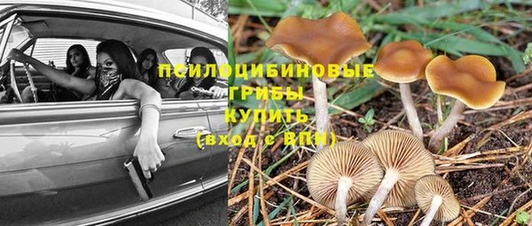 эйфоретик Балахна