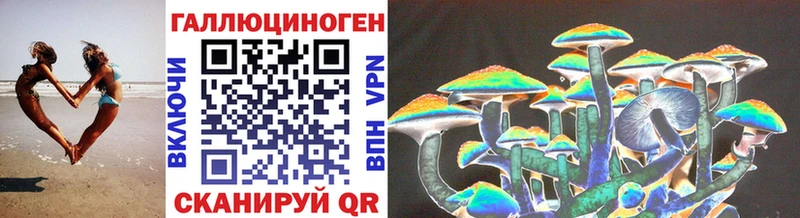 Псилоцибиновые грибы прущие грибы Пролетарск